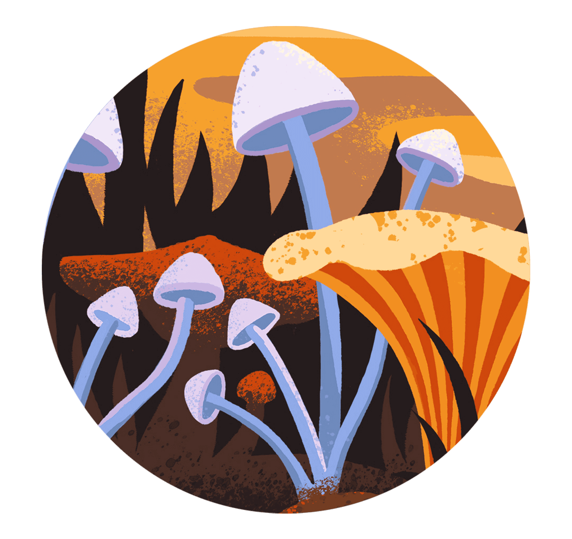 autumn-walk-03