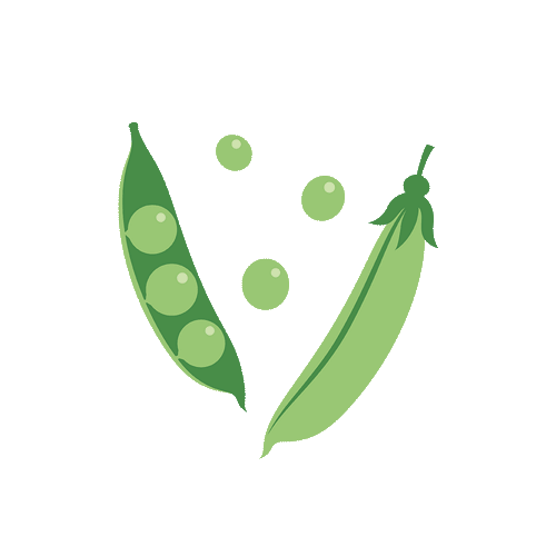 Seasonal fruits and veggies